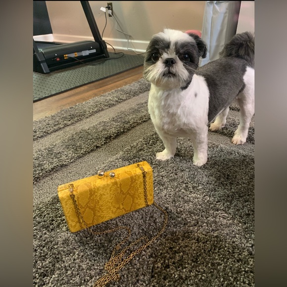 EUC Elegant Yellow Snakeskin Clutch - Picture 3 of 3